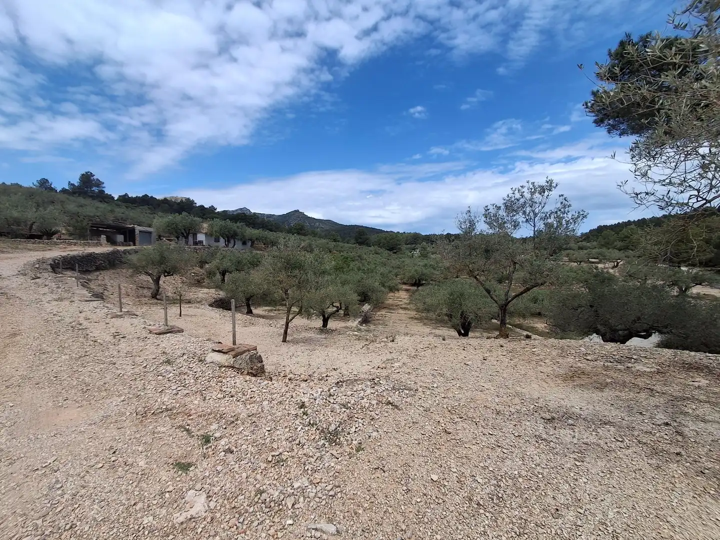 Terreno rustico in vendita a El Perelló, imagen 11