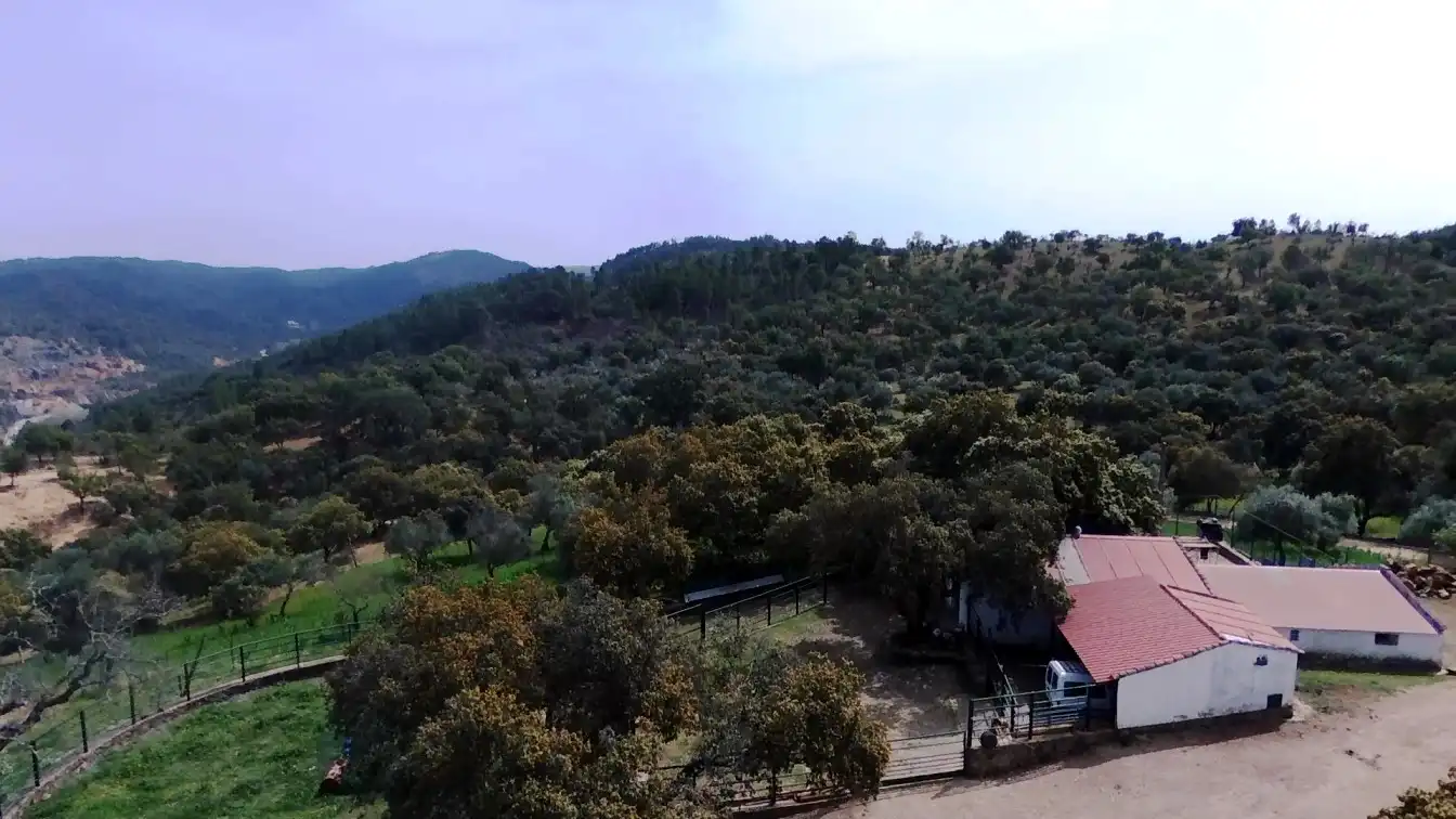 Terrenos y solares en venta en Extramuros Diseminados 5, imagen 9