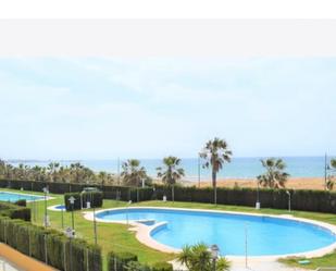 Jardí de Planta baixa de lloguer en El Ejido amb Aire condicionat, Terrassa i Piscina