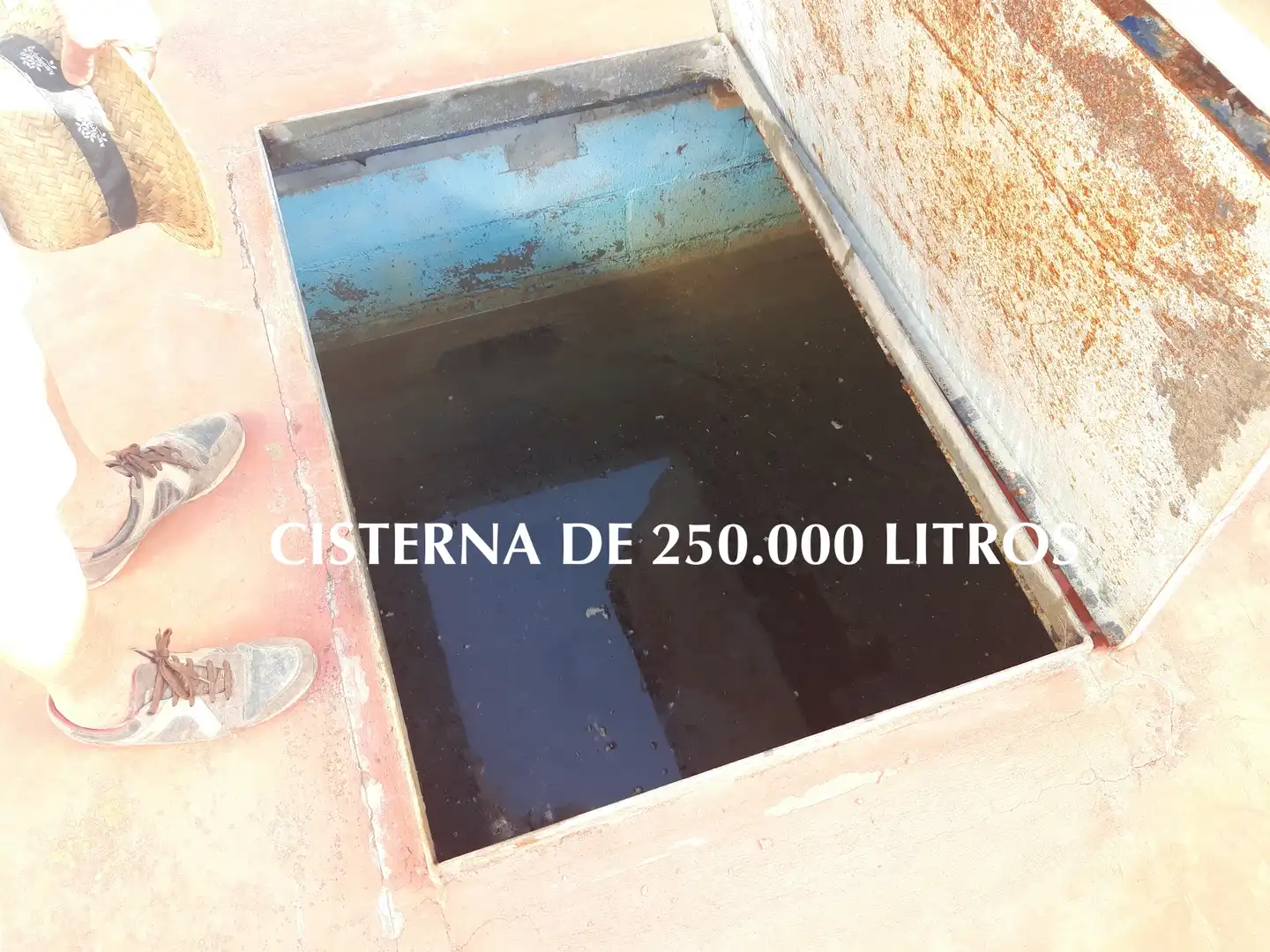Vista exterior de Finca rústica en venta en Caspe con Amueblado