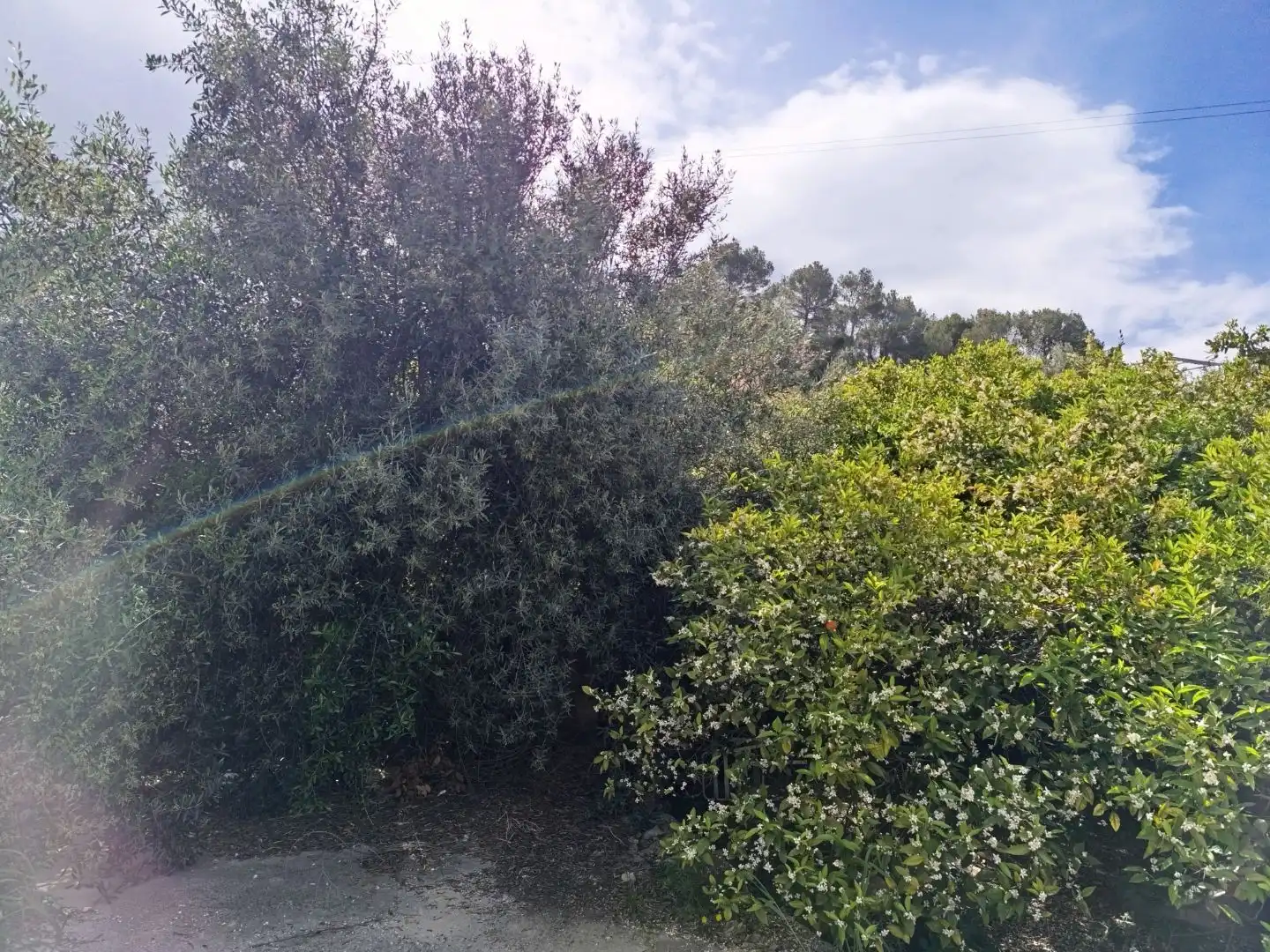 Rustikales Grundstück zum Verkauf in Carrer la solana 16, imagen 4