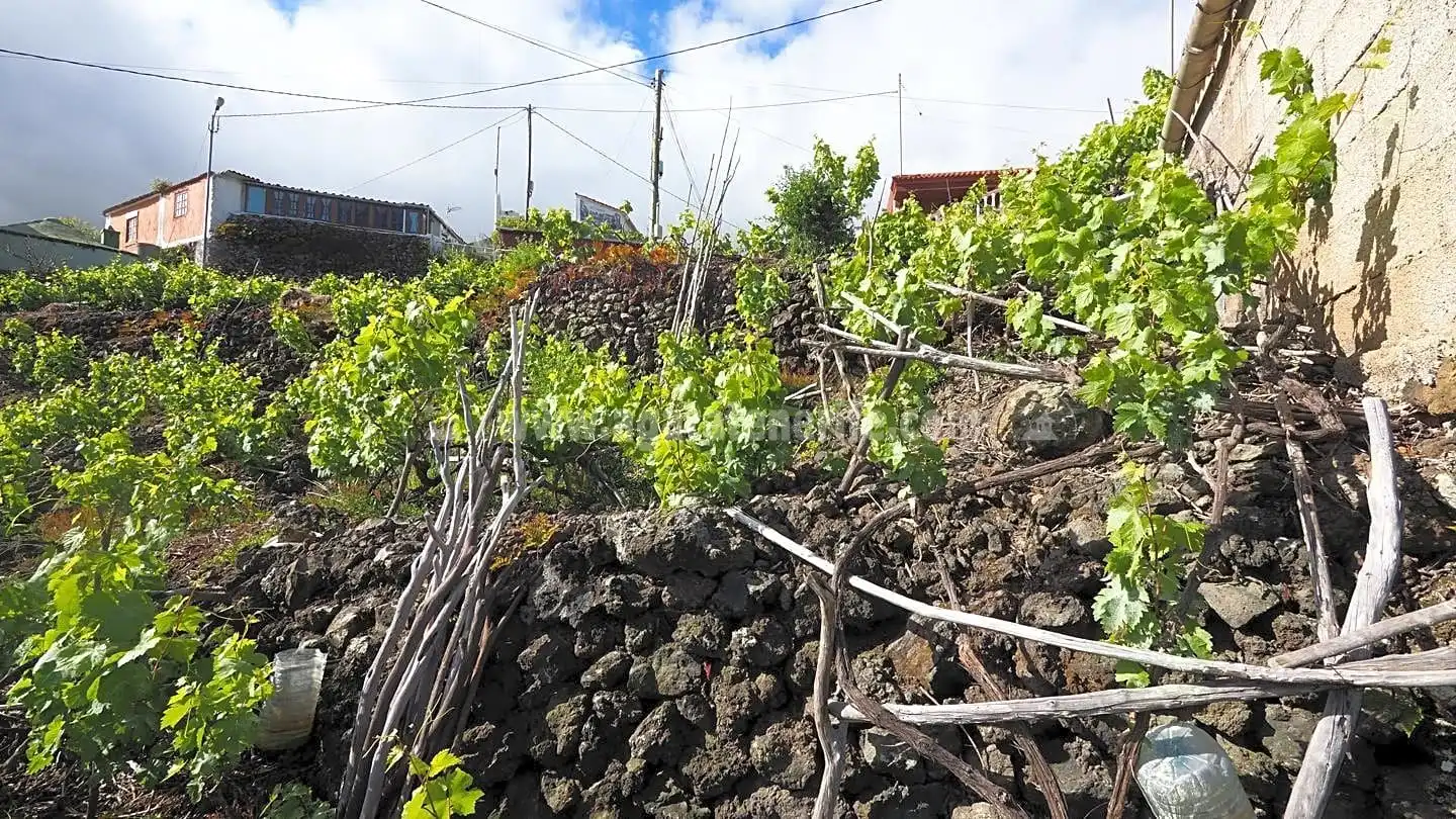 Lands and plots for sale in La Vega - El Amparo - Cueva del Viento, imagen 8