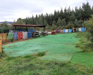 Garden of Industrial land for sale in Valdoviño