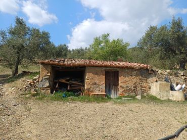Rural land for sale in Riudecanyes