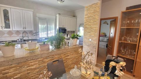 Foto 5 de Finca rústica en venta en Almodóvar del Río, Córdoba