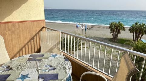 Photo 3 of Apartment to rent in Paseo de Velilla, 50, Velilla - Velilla Taramay, Granada