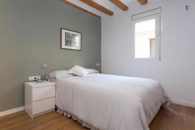 Apartamento en Alquiler en El Raval