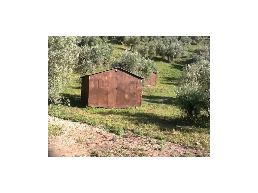 House for sale in Zahara, imagen 7