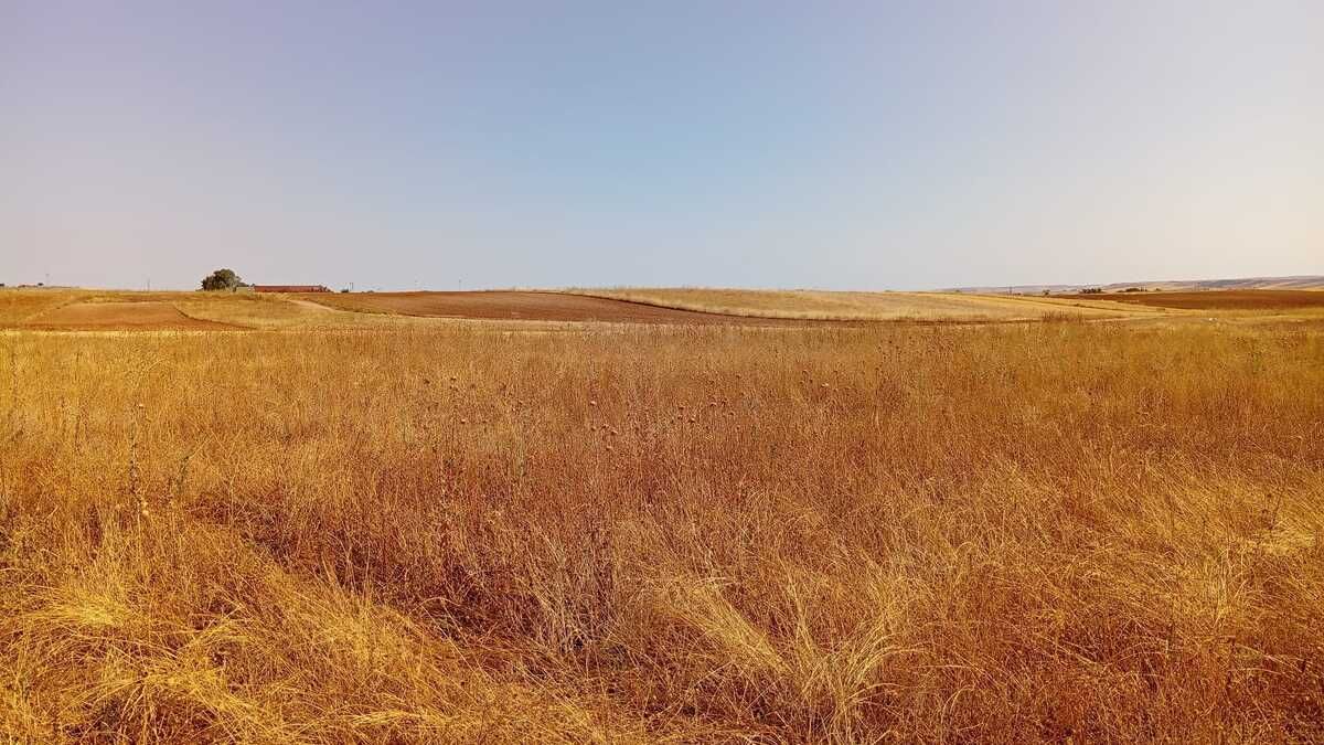 Residencial en venda en Zamora Capital 