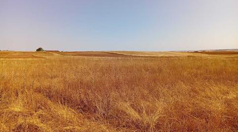 Foto 3 de Residencial en venda a Pago de el Palomar, Poligono 44, -1, Urbanización Siglo XXI - Carretera de Villalpando, Zamora Capital