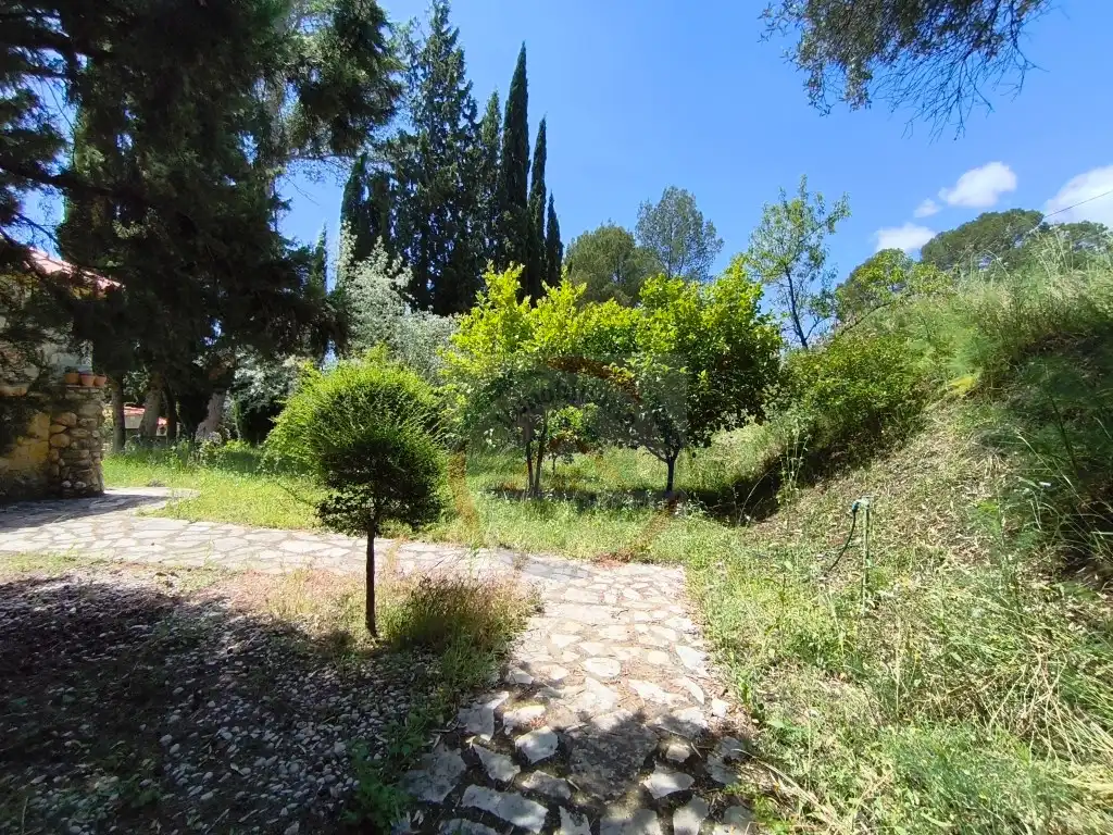Jardín de Casa o chalet en venta en Xàtiva