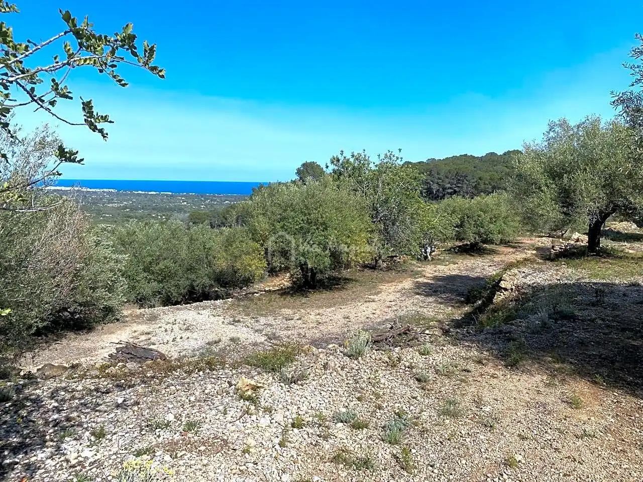 Terreno rustico in vendita a Puig Moltó, imagen 5