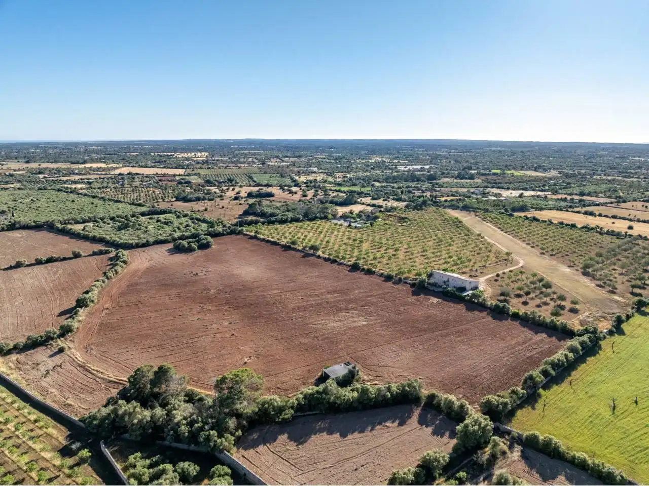 Terreno rustico in vendita a Llucmajor pueblo, imagen 113