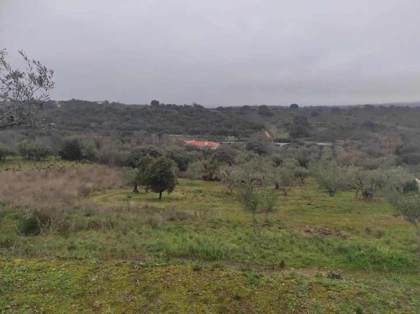 Terreno en venta en Plasencia