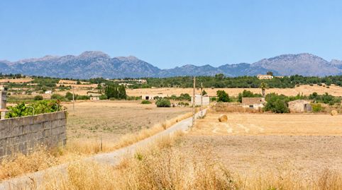 Terreno rústico edificable de 17.700 m2 en Santa Margalida