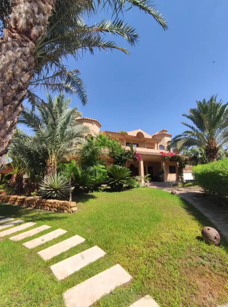 Vista exterior de Casa o xalet en venda en Elche / Elx amb Aire condicionat, Calefacció i Jardí privat