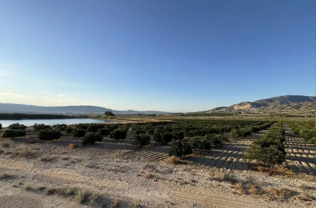 Casa rústica amb piscina en venda a Alhama de Murcia ciudad, imagen 34