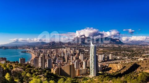 Suelo Urbano Benidorm, imagen 5