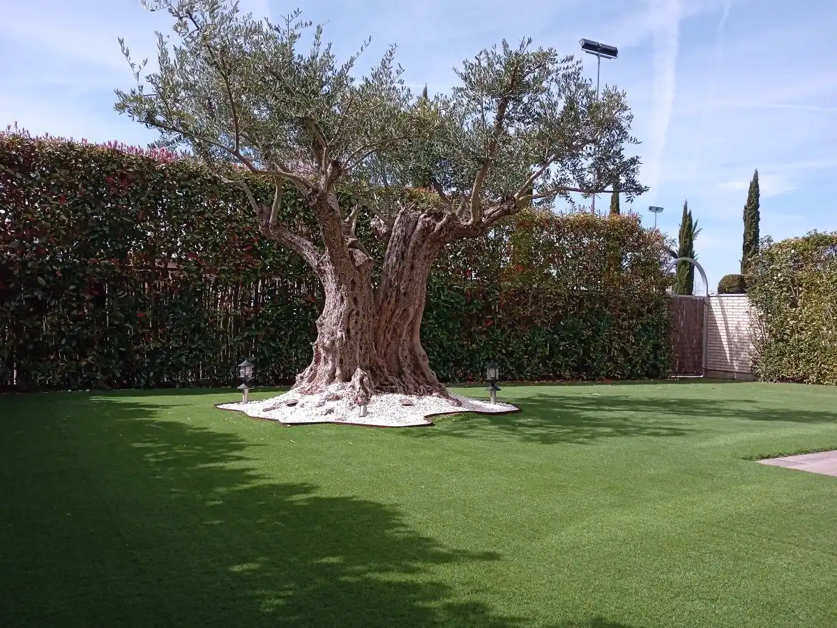 Garden of Flat for sale in Manzanares de Rioja, La Rioja