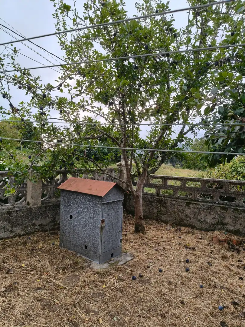 Casa amb jardí en venda a Lugar Veciñeira 12, imagen 8