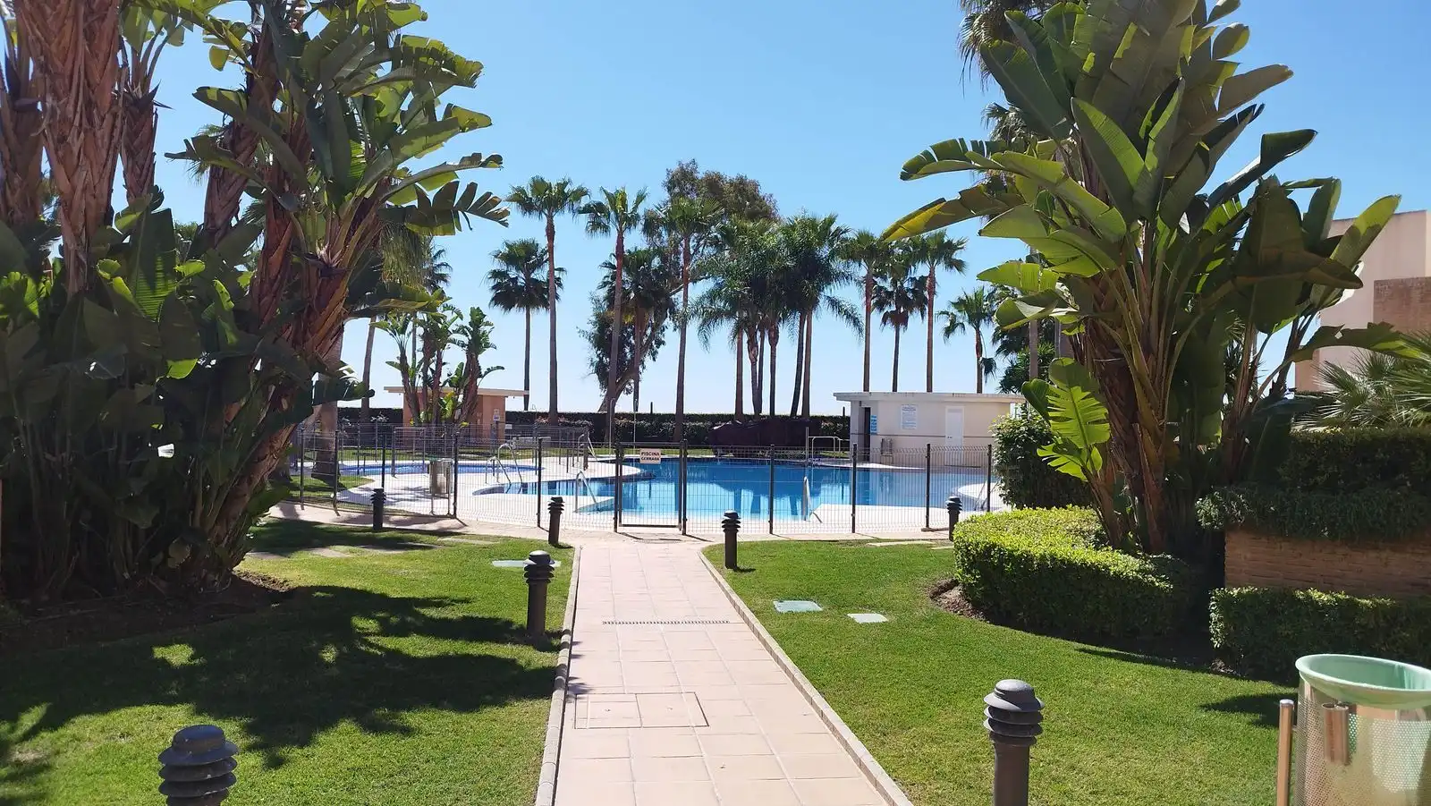 Piscina de Apartamento de alquiler en Estepona con Terraza, Amueblado y Internet