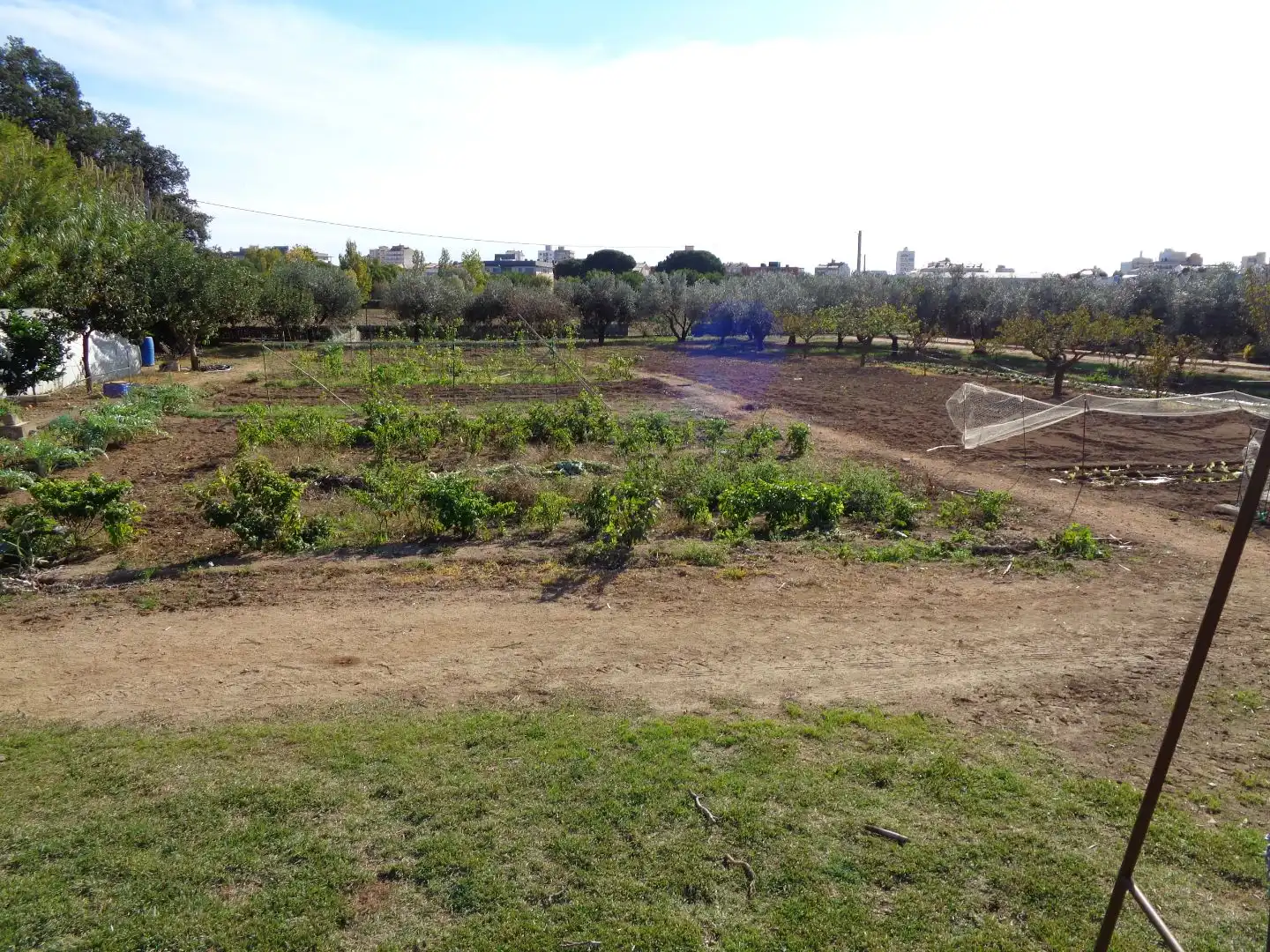 Land for sale in Calonge i Sant Antoni