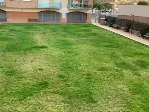 Pis en venda en Santa Susanna amb Aire condicionat, Piscina i Balcó