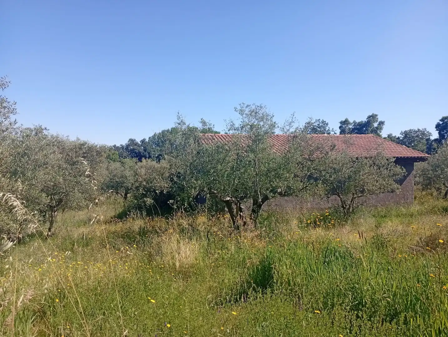 Maison à vendre à Villanueva de la Vera, imagen 81