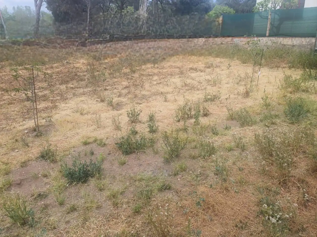 Terreno rustico in vendita a Palau-solità i Plegamans