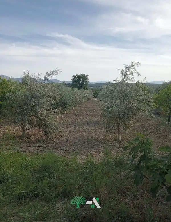 Terreni e lotti in vendita a Calle Poniente Obispo-Cl H, imagen 17