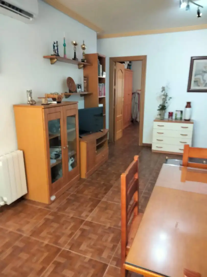 Living room of Apartments for sale in Guadix  with Furnished