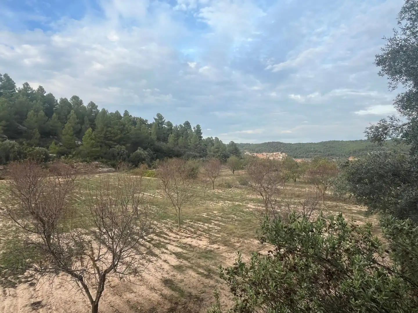 Terreni e lotti in vendita a Arens de Lledó, imagen 4