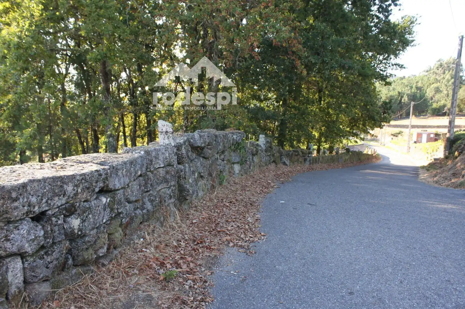 Lands and plots for sale in Mondariz, imagen 2