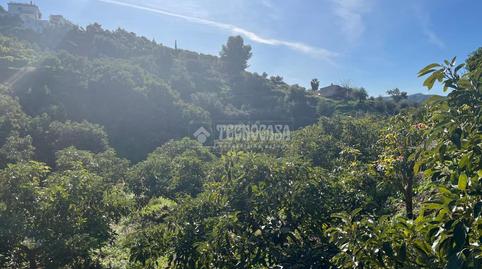 Photo 5 of Land for sale in Frigiliana, Málaga