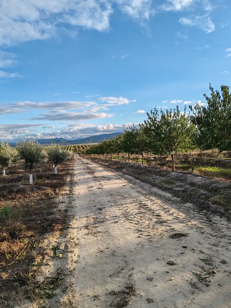Terreni e lotti in vendita a Navalmoral de la Mata, imagen 2