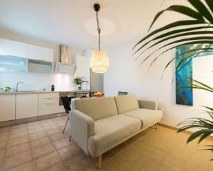 Living room of Apartment to share in Las Palmas de Gran Canaria  with Terrace