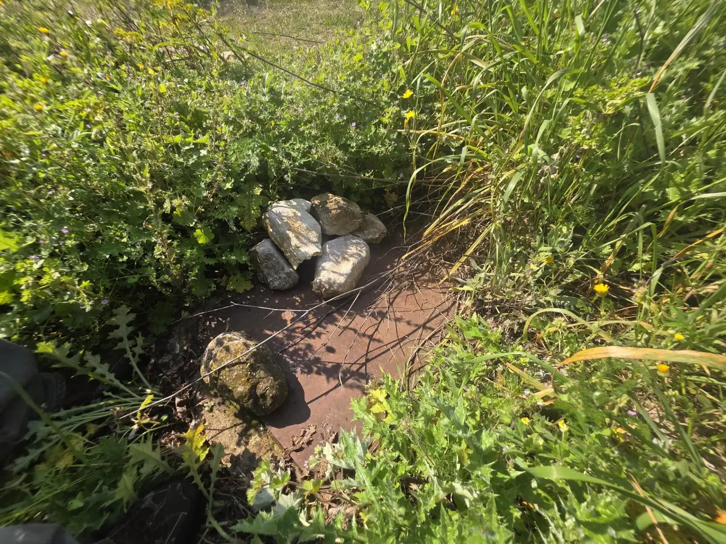 Terreno rustico in vendita a del Polígon Industrial 'La Ravaleta', imagen 60