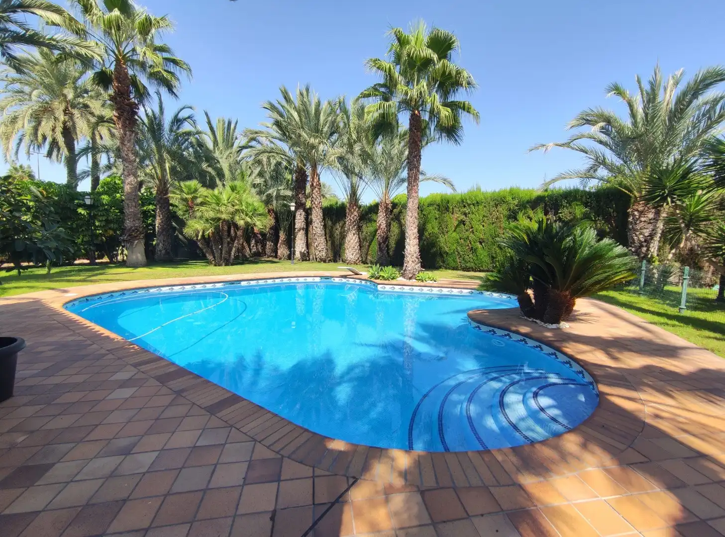 Piscina de Casa o xalet en venda en Elche / Elx amb Aire condicionat, Calefacció i Jardí privat