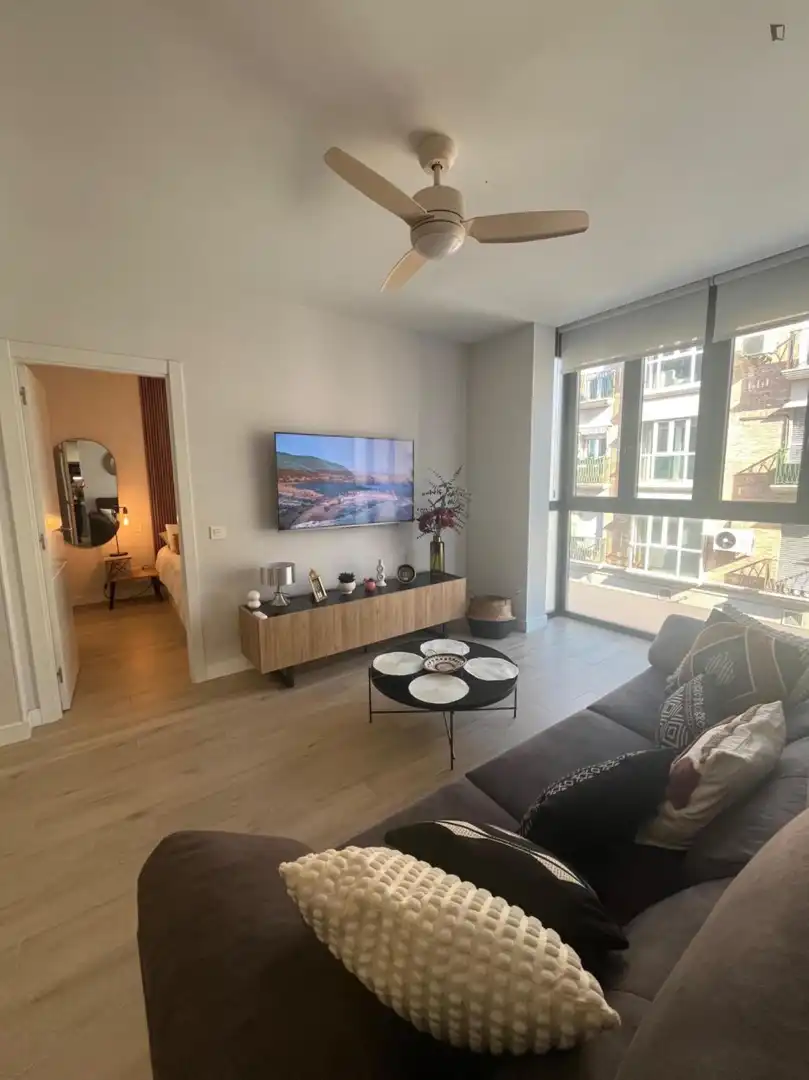 Sala d'estar de Apartament de lloguer en Madrid amb Aire condicionat, Calefacció i Moblat