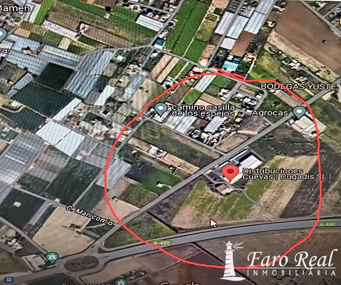 Terreny rústic en venda a La Jara
