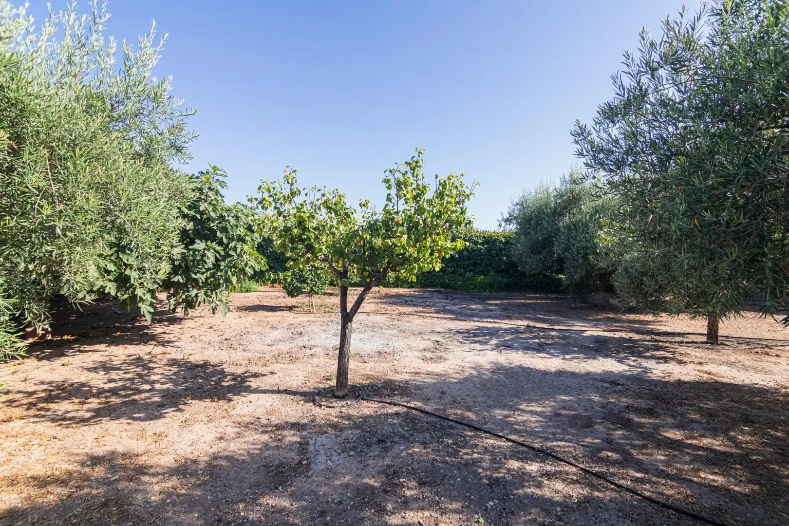 Chalet con piscina en venta en Partida HORNA BAJA 16, imagen 60