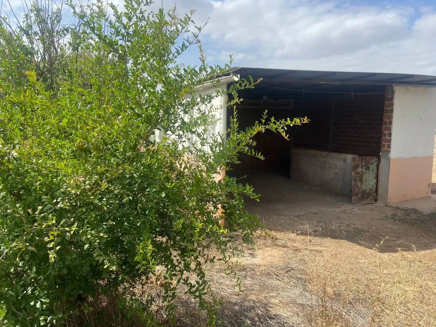 Vista exterior de Casa o xalet en venda en Argamasilla de Calatrava amb Jardí privat, Terrassa i Traster