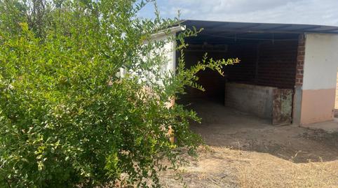 Foto 3 de Casa o xalet en venda a Camino de la Mata, Argamasilla de Calatrava, Ciudad Real