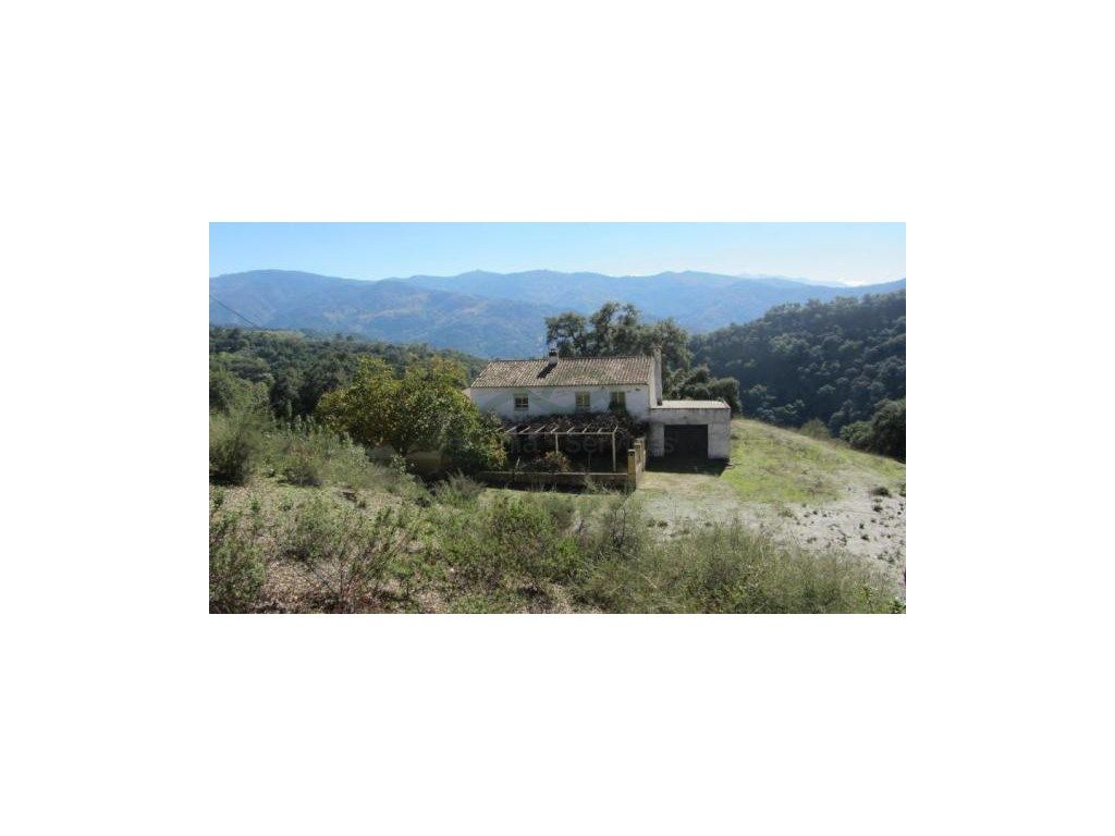 Exterior view of House or chalet for sale in Alpandeire