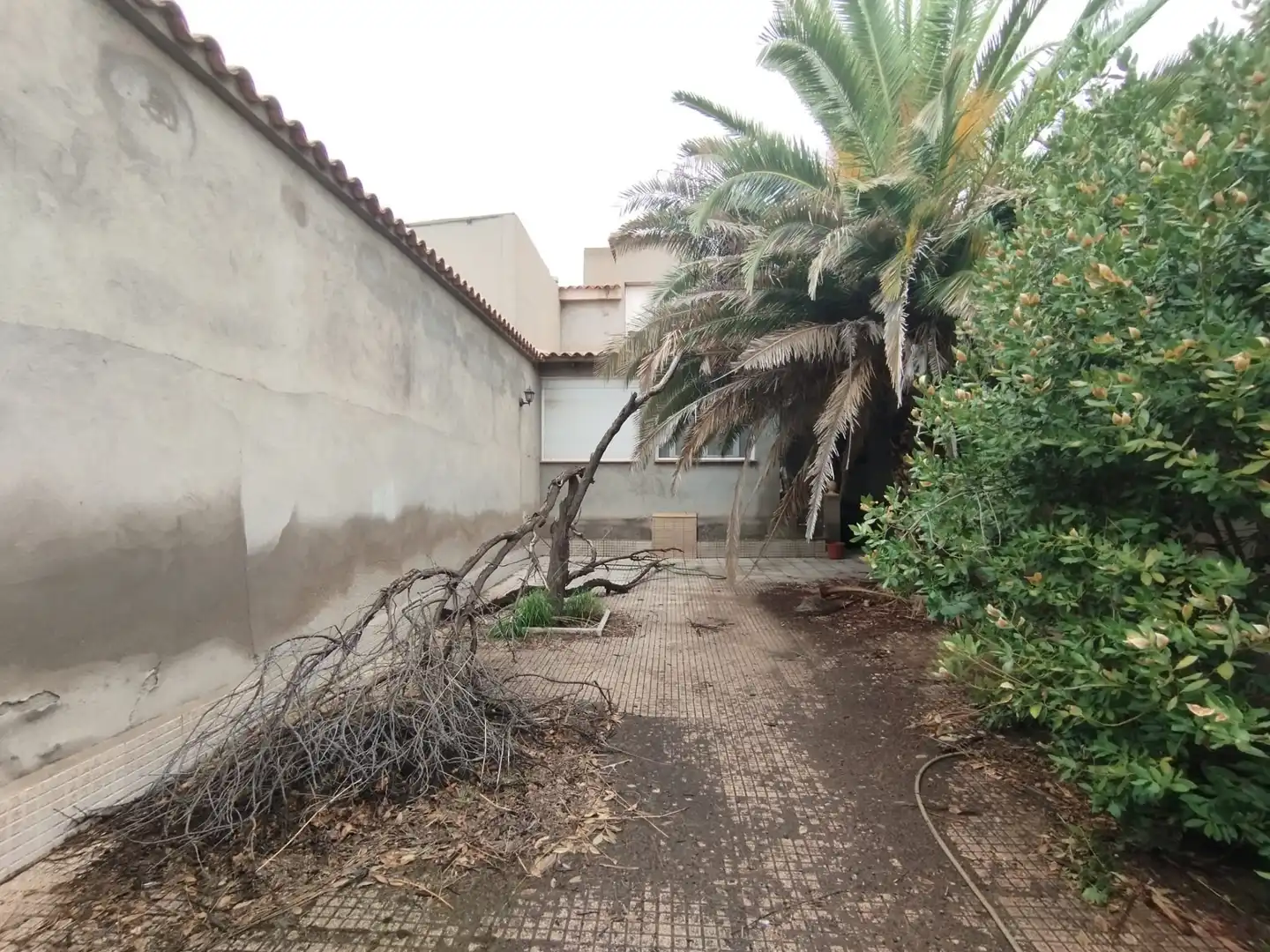Casa con terrazza in vendita a Calle Duque de Alba, imagen 4