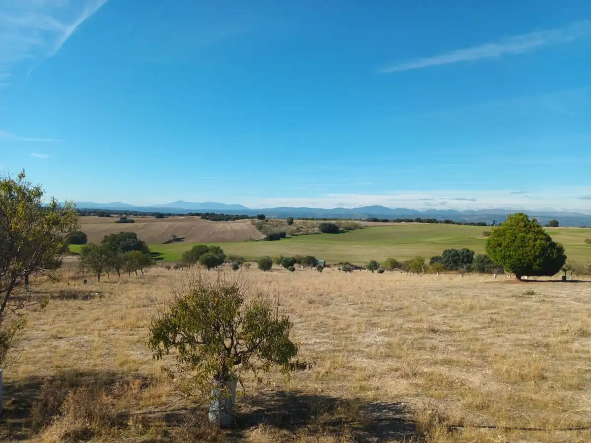 Finca rústica en venta en Brunete