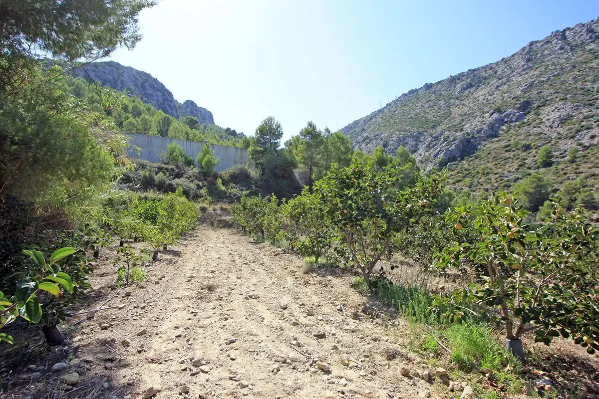 Terrenys i solars en venda a Beniarbeig, imagen 3