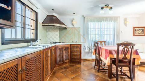 Foto 2 de Finca rústica en venta en La Perdoma - San Antonio - Benijos, La Orotava