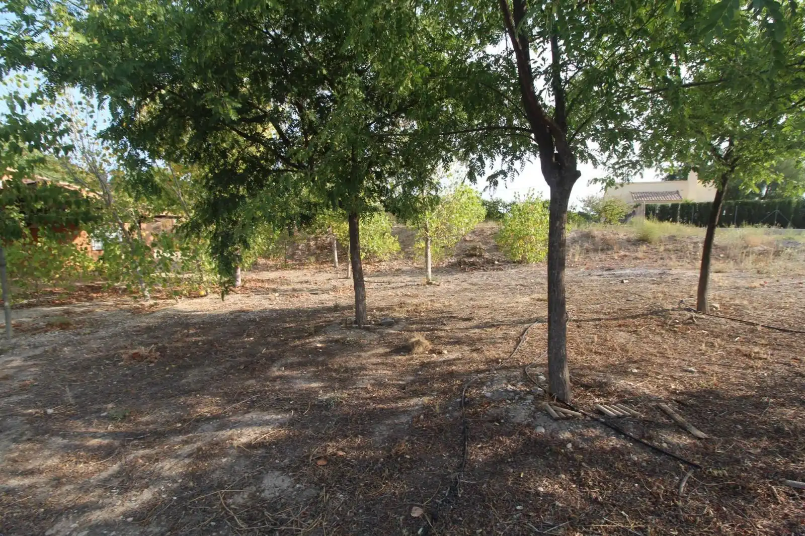 Casa o xalet en venda en Mula