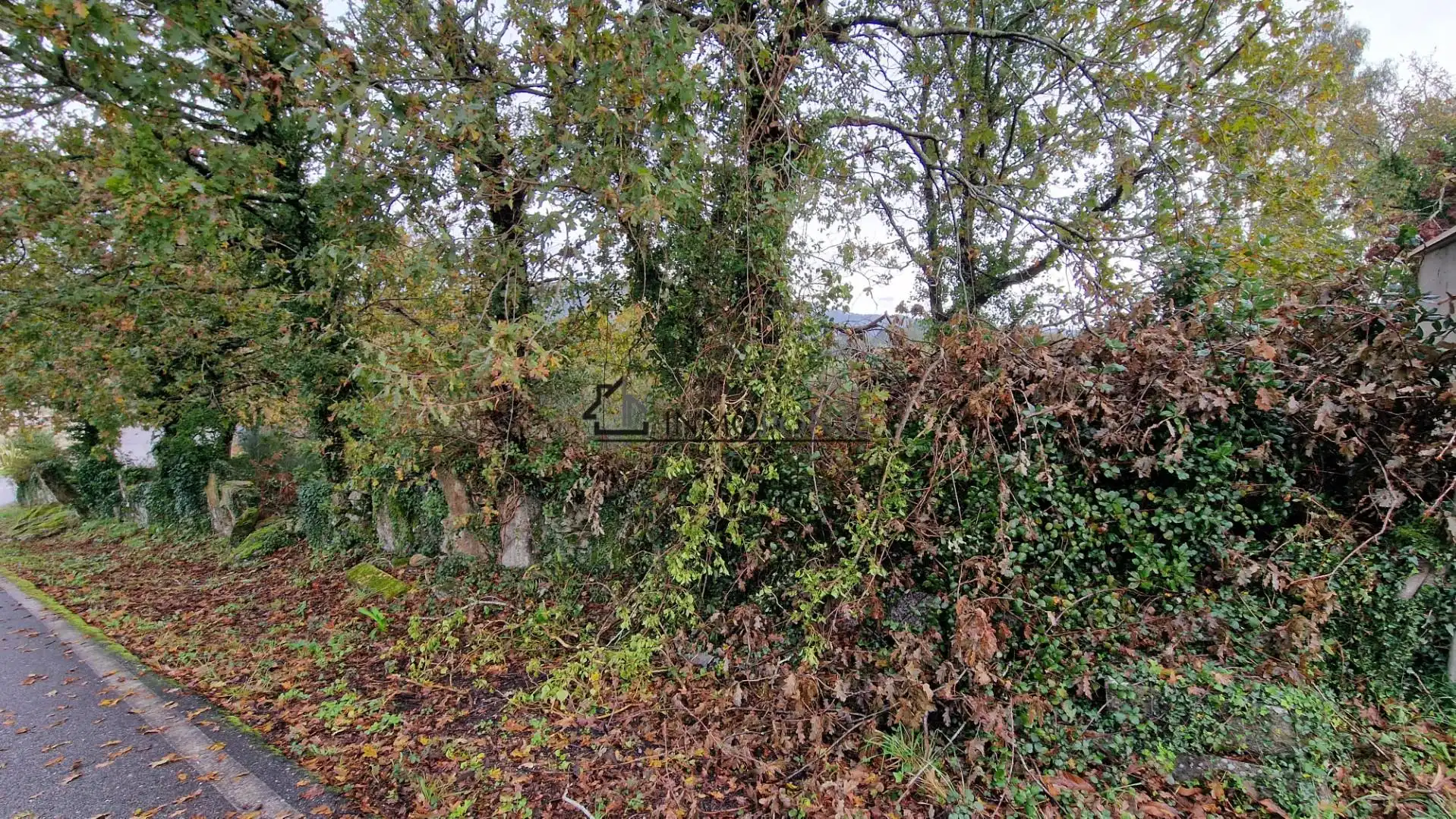 Lands and plots for sale in Soutomaior, imagen 5